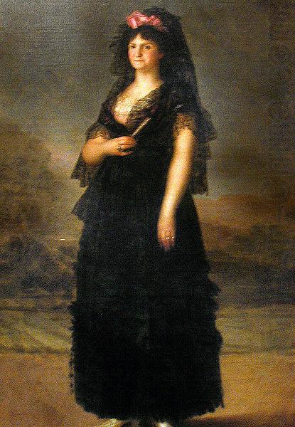 Agustin Esteve Portrait of Maria Luisa of Parma china oil painting image
